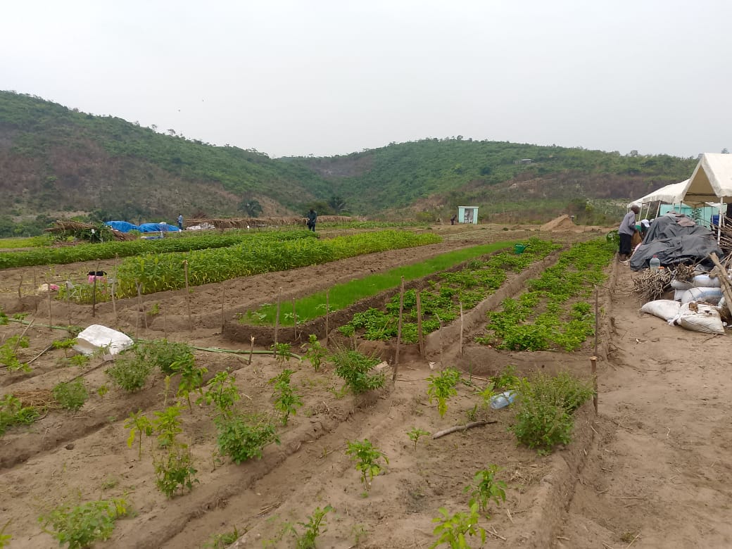 Kélé-Kélé launch signals agriculture policy recalibration