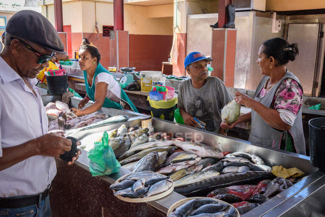 Women-Led Fish Trade Gains Formal Financing Gateway