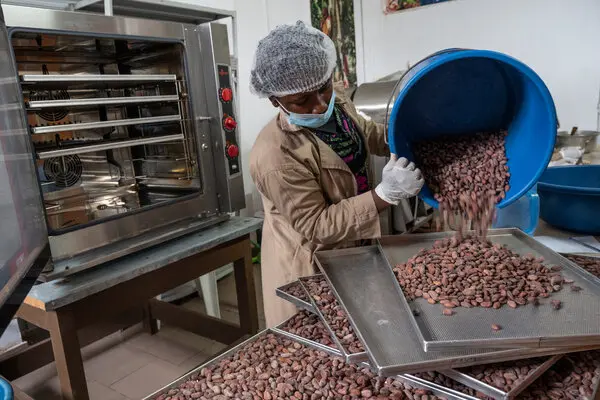 Côte d’Ivoire shifts from exports to value creation