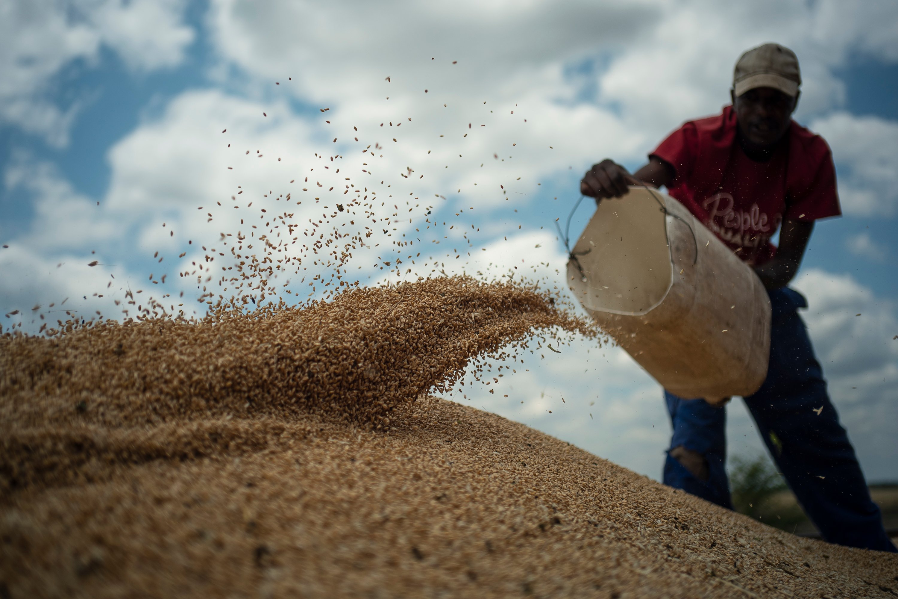 Grain Trade Resumes As Drought Cuts Zim Output