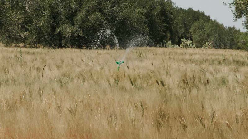 Kairouan event targets productivity and credit deepening