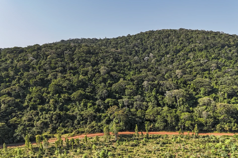 Kenya’s Mrima Rare Earths Test Governance Nerves