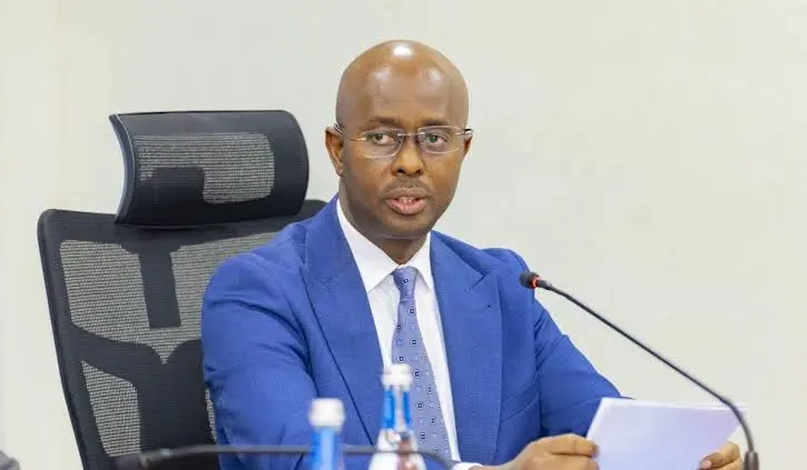 Rwanda Resilience Holds, But Funding Mix Matters