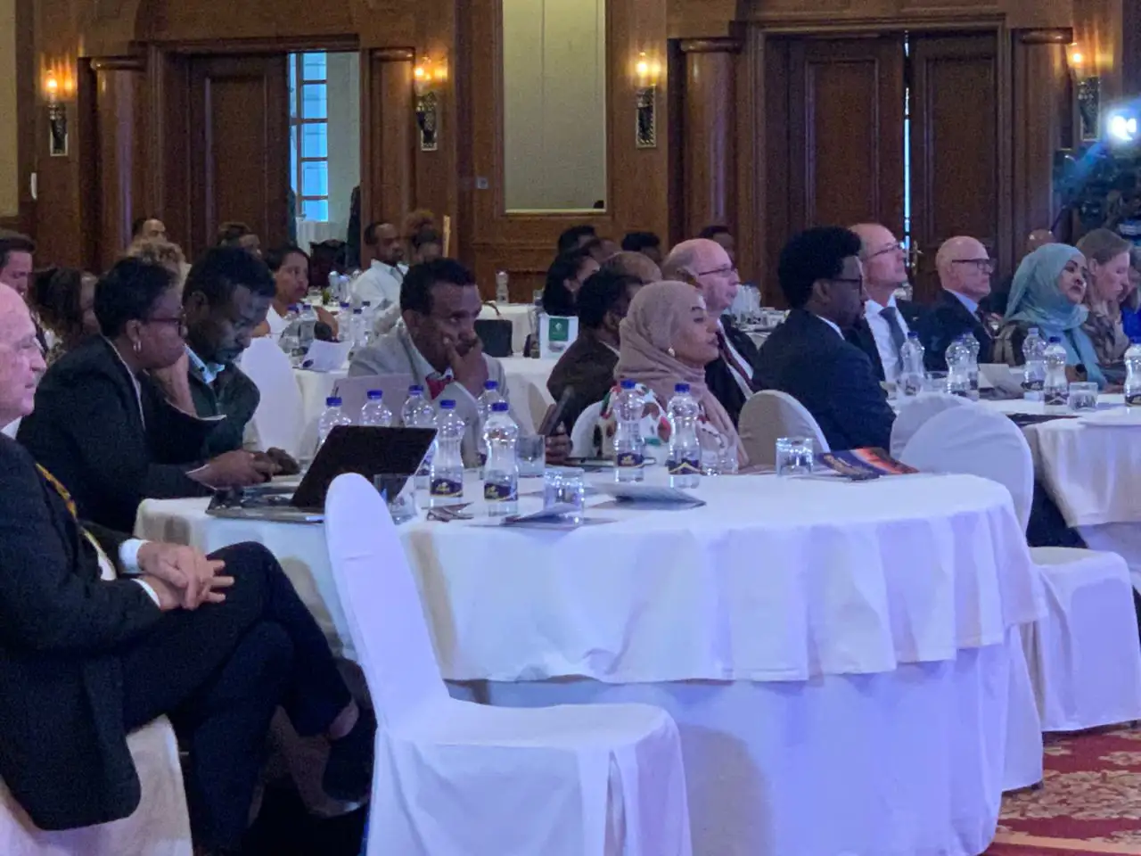 Swedish capital targets Ethiopia’s green industrial opportunity