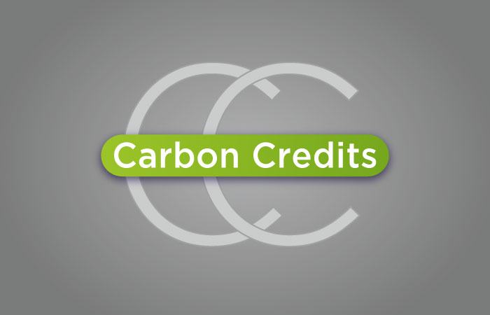 Carbon Credit Increase Raises Transition-Investment Risks