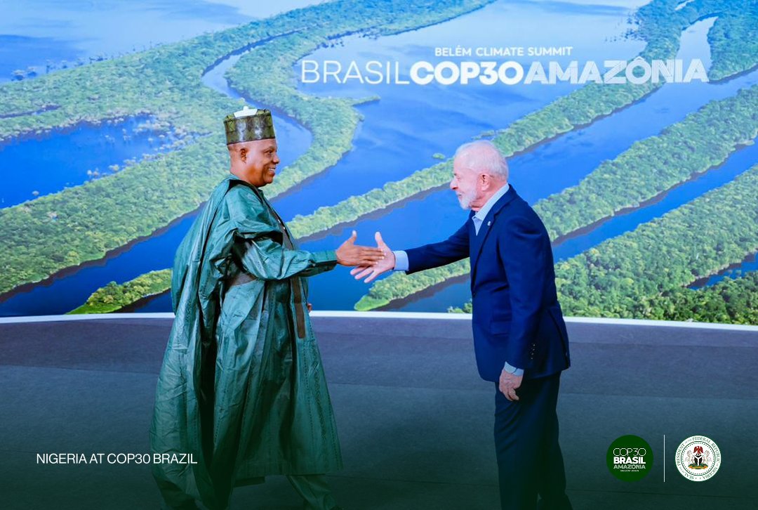 Private Capital Mobilization Key to Nigeria’s Green Transition