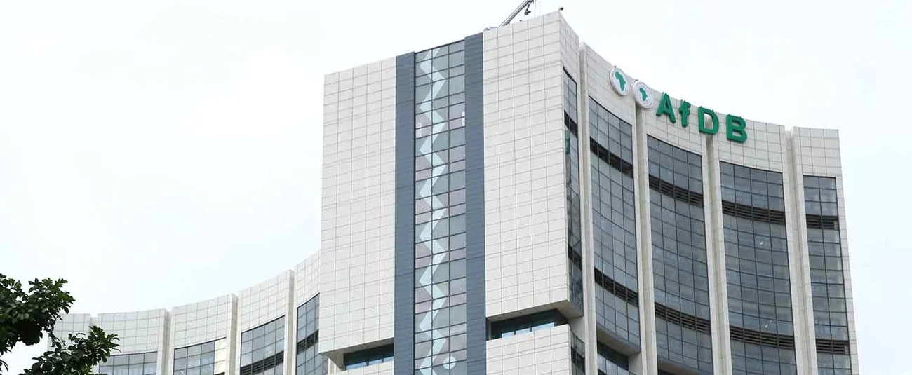 USD 22.8m AfDB grant enough to turn subsistence rice into a global investment signal
