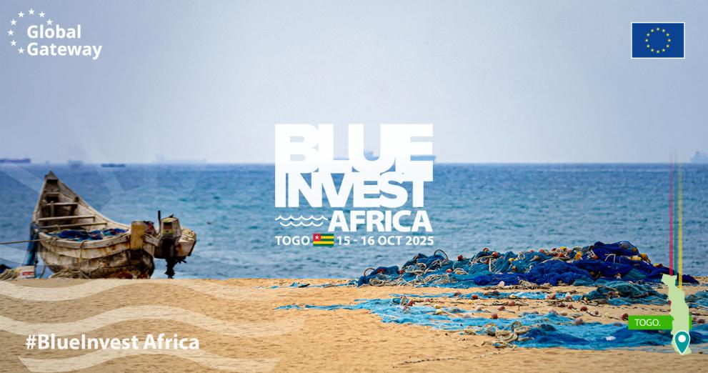 Lomé forum converts ESG goals into investable assets