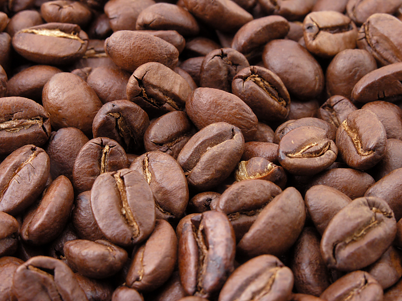 CRDB Bank Expands Coffee Credit Amid Tight Global Liquidity