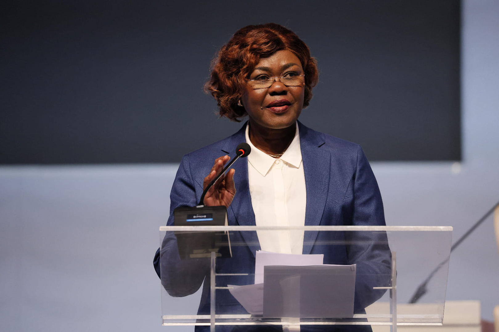 IMF World Bank Bilaterals Support Ivorian Stability