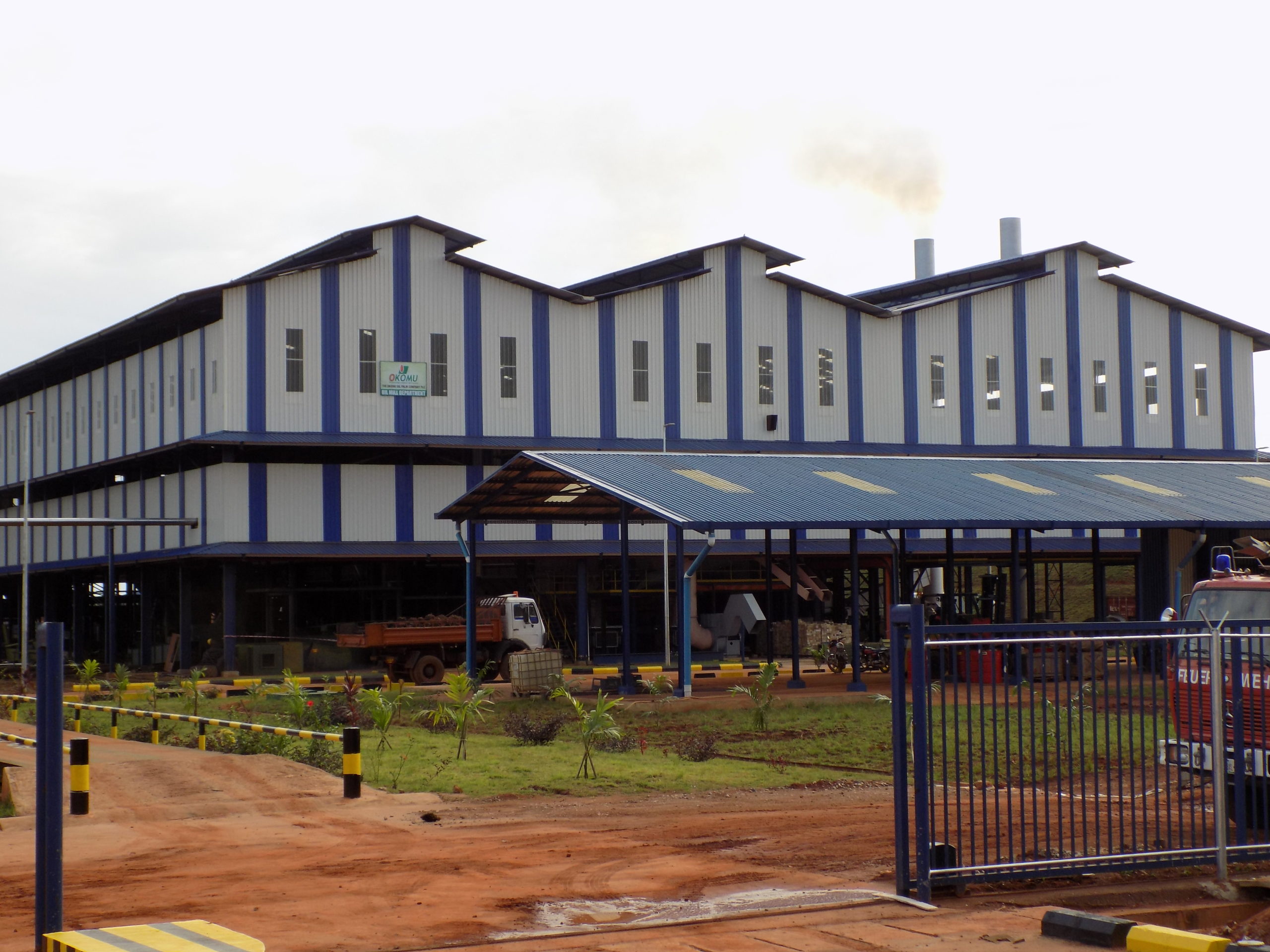 Okomu Oil Profit Surge Anchors Agribusiness Confidence