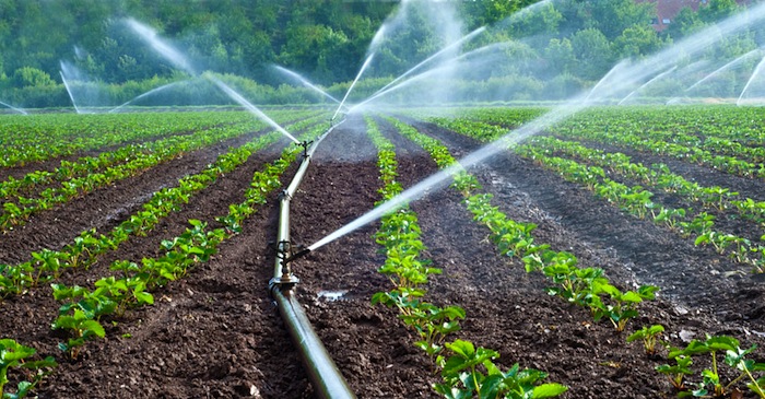Irrigation push stabilizes CPI and local duration