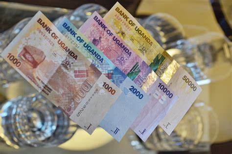 Domestic Savings Hold Key To Uganda’s Capital Depth