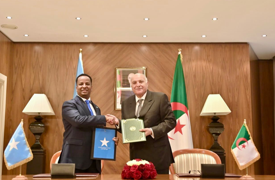 Algeria and Somalia deepen strategic South-South cooperation
