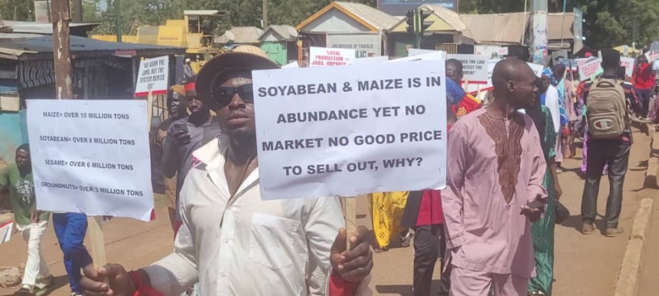 Unsold rice and cheap maize threaten farmer viability