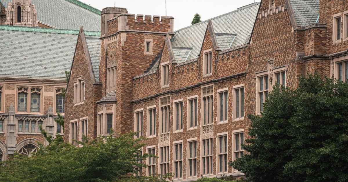 Human Capital Strategy Anchors Medium Term Growth